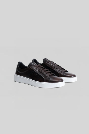 Dion Leather Sneaker in Brown