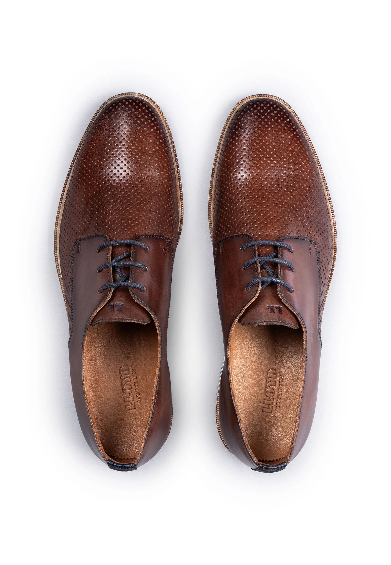 Demond Derby Shoe in Brown