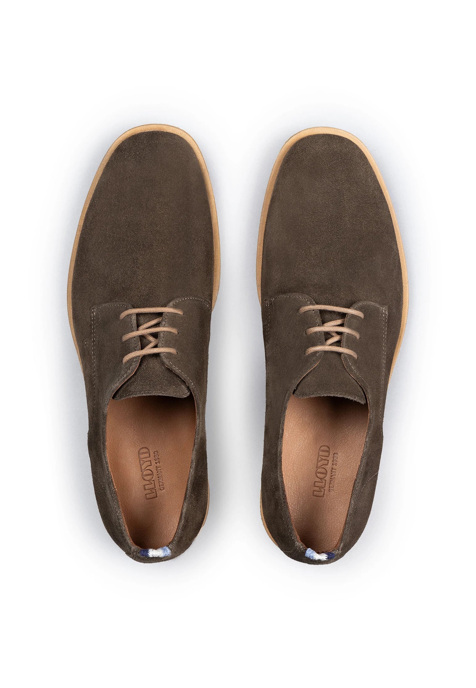 Liman Shoe in Brown