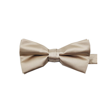 Satin Solid Pre-Tied Bowtie in Champagne