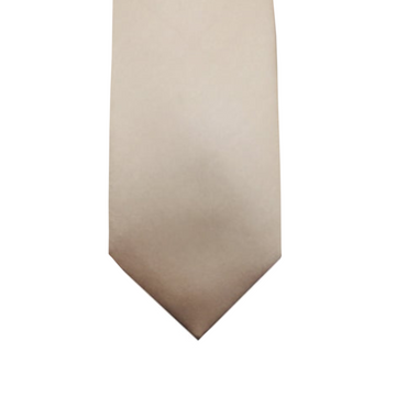 Satin Solid Tie in Champagne