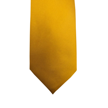 Satin Solid Tie in Gold