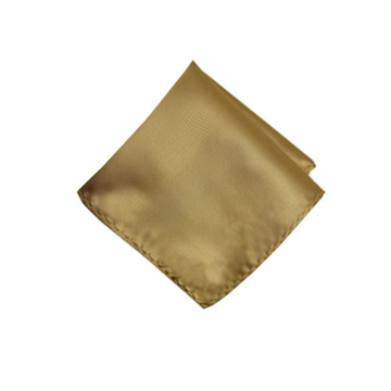 Satin Solid Pre-Tied Pocket Square in Pale Gold