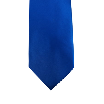Satin Solid Tie in Royale