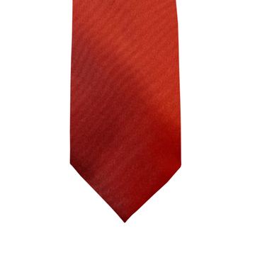 Satin Solid Tie in Rust